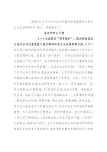 中央生态环境保护督察整改专题民主生活会个人发言提纲