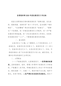 县2020年度发展党员工作总结
