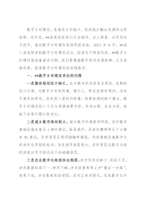 数字乡村建设调研报告