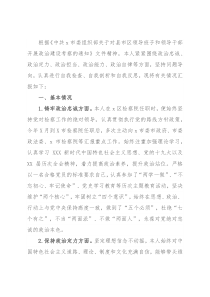 检察院检察长政治建设个人自查报告